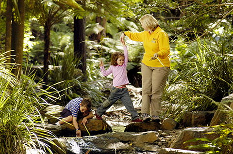 Tondoon Botanic Gardens - Palm Beach Accommodation 2