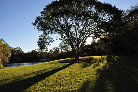 Tondoon Botanic Gardens - Palm Beach Accommodation 4