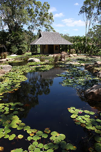 Tondoon Botanic Gardens - Palm Beach Accommodation 8