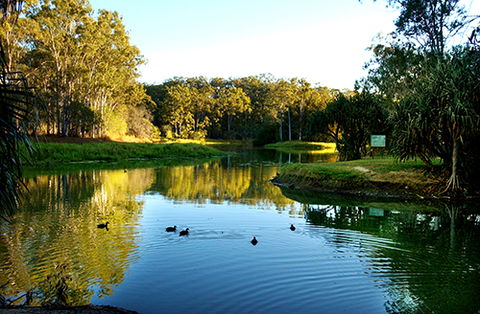 Tondoon Botanic Gardens - Palm Beach Accommodation 9