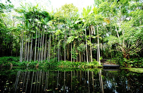 Tondoon Botanic Gardens - Palm Beach Accommodation 11