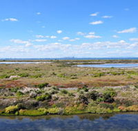 Point Cook Coastal Park - Palm Beach Accommodation