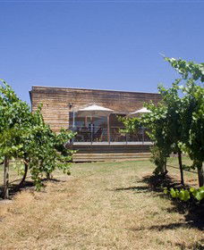 Shantell Vineyard - Palm Beach Accommodation 0