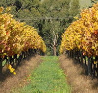 Wild Dog Winery  Restaurant - Palm Beach Accommodation