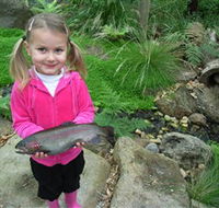 Wild Food Farm  Cafe - Palm Beach Accommodation