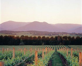 Domaine Chandon - Palm Beach Accommodation 0