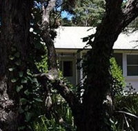 Melaleuca Gallery - Palm Beach Accommodation