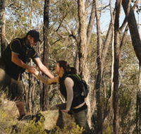 Greater Bendigo National Park - Palm Beach Accommodation