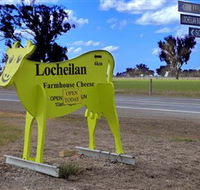 Locheilan Farmhouse Cheese - Palm Beach Accommodation