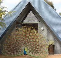 Halls Gap Zoo - Palm Beach Accommodation