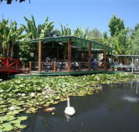 Blue Lotus Water Garden - Palm Beach Accommodation