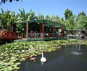 Blue Lotus Water Garden - Palm Beach Accommodation 0