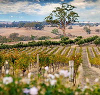 Redesdale Estate - Palm Beach Accommodation