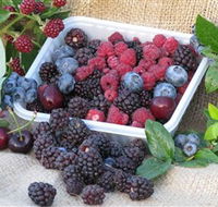 Bright Berry Farms - Palm Beach Accommodation