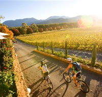 Boyntons Feathertop Winery - Palm Beach Accommodation