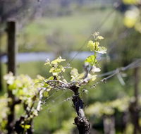 Norton Estate Wines - Palm Beach Accommodation