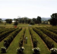 Rochford Wines - Palm Beach Accommodation