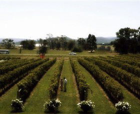 Rochford Wines - Palm Beach Accommodation 0