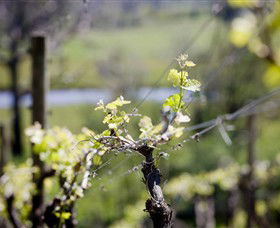 Glenrowan VIC Palm Beach Accommodation