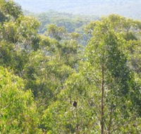 Bunyip State Park - Palm Beach Accommodation