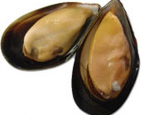 Sea Bounty - Palm Beach Accommodation 0