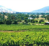 Upper Murray Estate - Palm Beach Accommodation