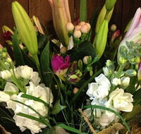 Alpine Blooms Florist Mansfield - Palm Beach Accommodation