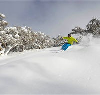 Mt Buller and Mt Stirling Alpine Resort - Palm Beach Accommodation