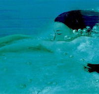Muse - Palm Beach Accommodation
