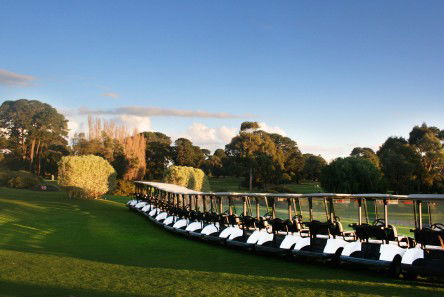 Rosebud Country Club - Palm Beach Accommodation 0
