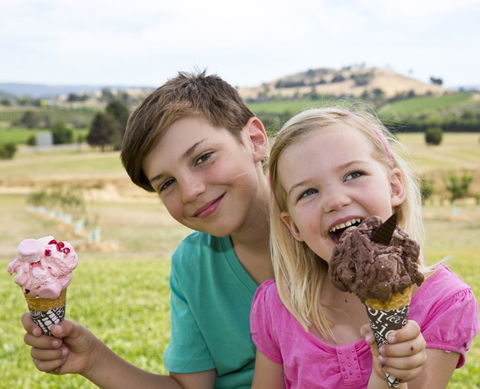 Yarra Valley Chocolaterie & Ice Creamery - Palm Beach Accommodation 6
