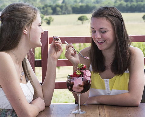 Yarra Valley Chocolaterie & Ice Creamery - Palm Beach Accommodation 8