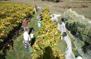 Palm Beach Accommodation