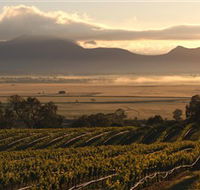 Montara Wines - Palm Beach Accommodation