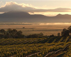 Montara Wines - Palm Beach Accommodation 0