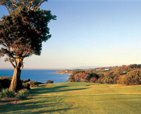 Mornington Golf Club - Palm Beach Accommodation 0