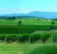 Acacia Ridge Vineyard - Palm Beach Accommodation