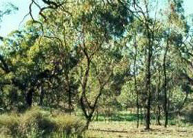 Appin South VIC Palm Beach Accommodation
