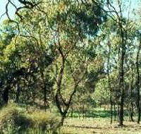 Leaghur State Park - Palm Beach Accommodation