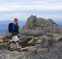 Mount Buffalo National Park - Palm Beach Accommodation