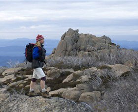 Mount Buffalo National Park - Palm Beach Accommodation 0