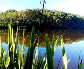 Aura Vale Lake Park - Palm Beach Accommodation 0