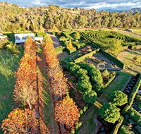 High Country Maze - Palm Beach Accommodation