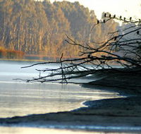 Barmah National Park - Palm Beach Accommodation