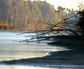 Barmah National Park - Palm Beach Accommodation 0