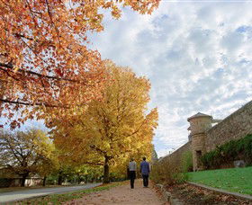Beechworth Historic And Cultural Precinct - Palm Beach Accommodation 0