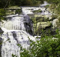 Agnes Falls Scenic Reserve - Palm Beach Accommodation