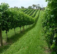 The Cups Estate - Palm Beach Accommodation
