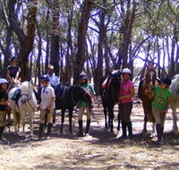 Bellarine Horse Riding Centre - Palm Beach Accommodation