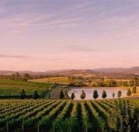 Oakridge Wines - Palm Beach Accommodation